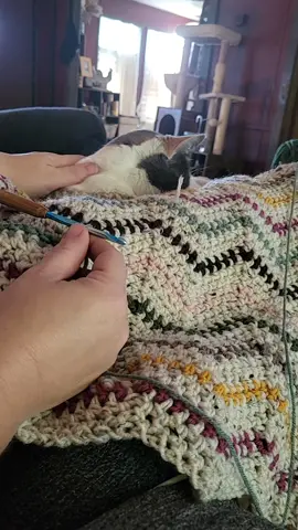 Purrito has joined us