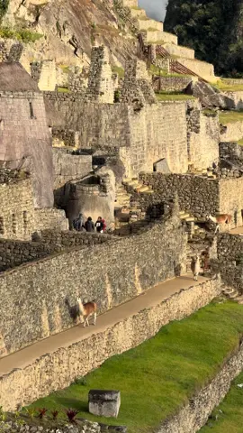 Machu Picchu the 