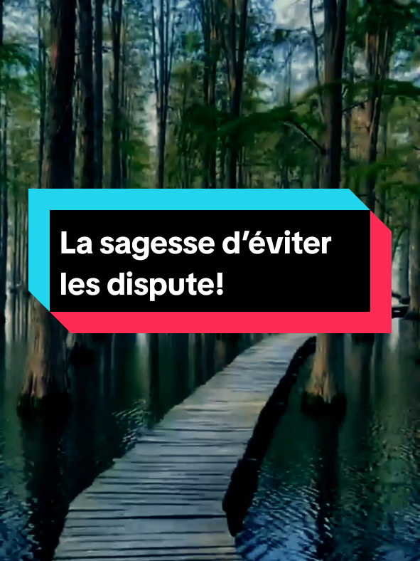 La vraie force, ce n’est pas de répondre à tout! C’est de rester en paix.  #paixintérieure  #serénité   #forcesilencieuse #sagesse  #inspiration     