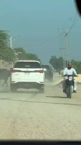 #fortuner #gr #gazooracing #fortuner #sigma #elantra #fortuner #egender #viral #account #grow #video#foryoupage#fortunergrsport#fortunerlegender#toyotafortuner#unfrezzmyaccount#cars#unfrezzmyaccount #growmyaccount #foryou#foryoupage #fortunerlover 