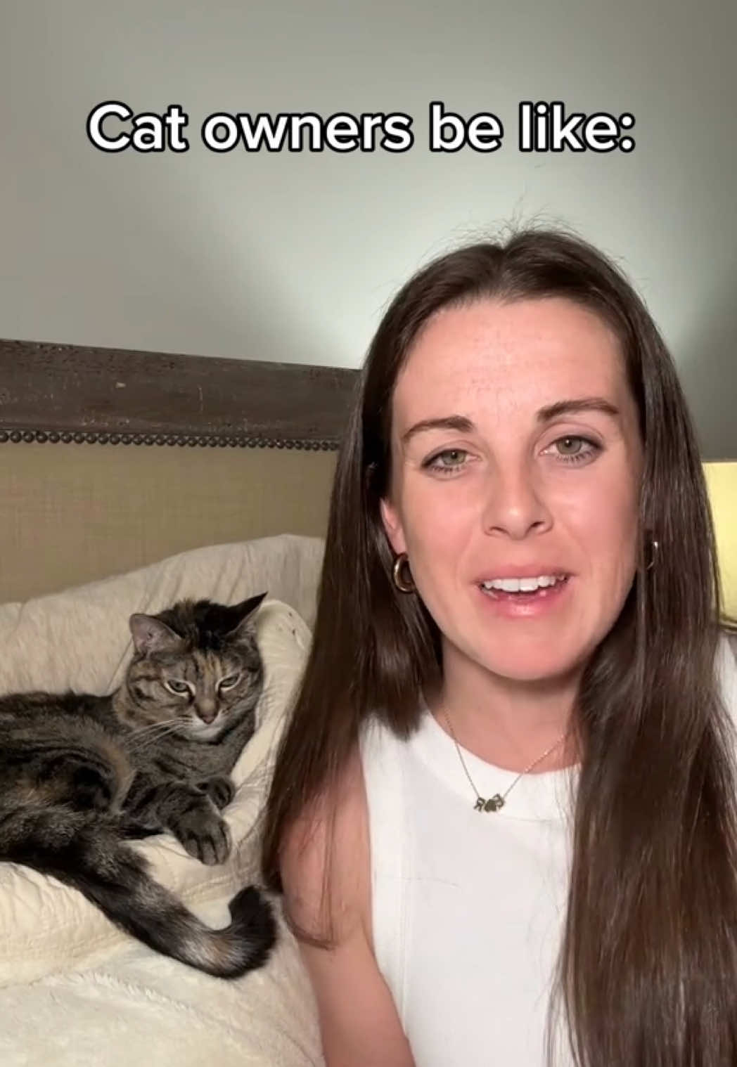 only cat owners understand #cats #catownerproblems #catlover #catownersbelike 