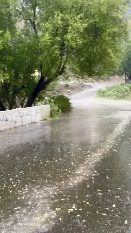 #قنا_الجميلة_محايل_تهامة_عسير♥️♥️ 