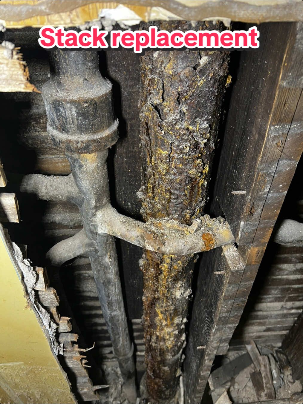 Stack replacement in a 100 year old home last week 🤙🏼 #plumber #plumbing #serviceplumber #install #plumb 