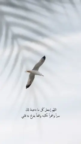 #كلام_من_القلب #🦋 #❤️ #خواطر #🌹 