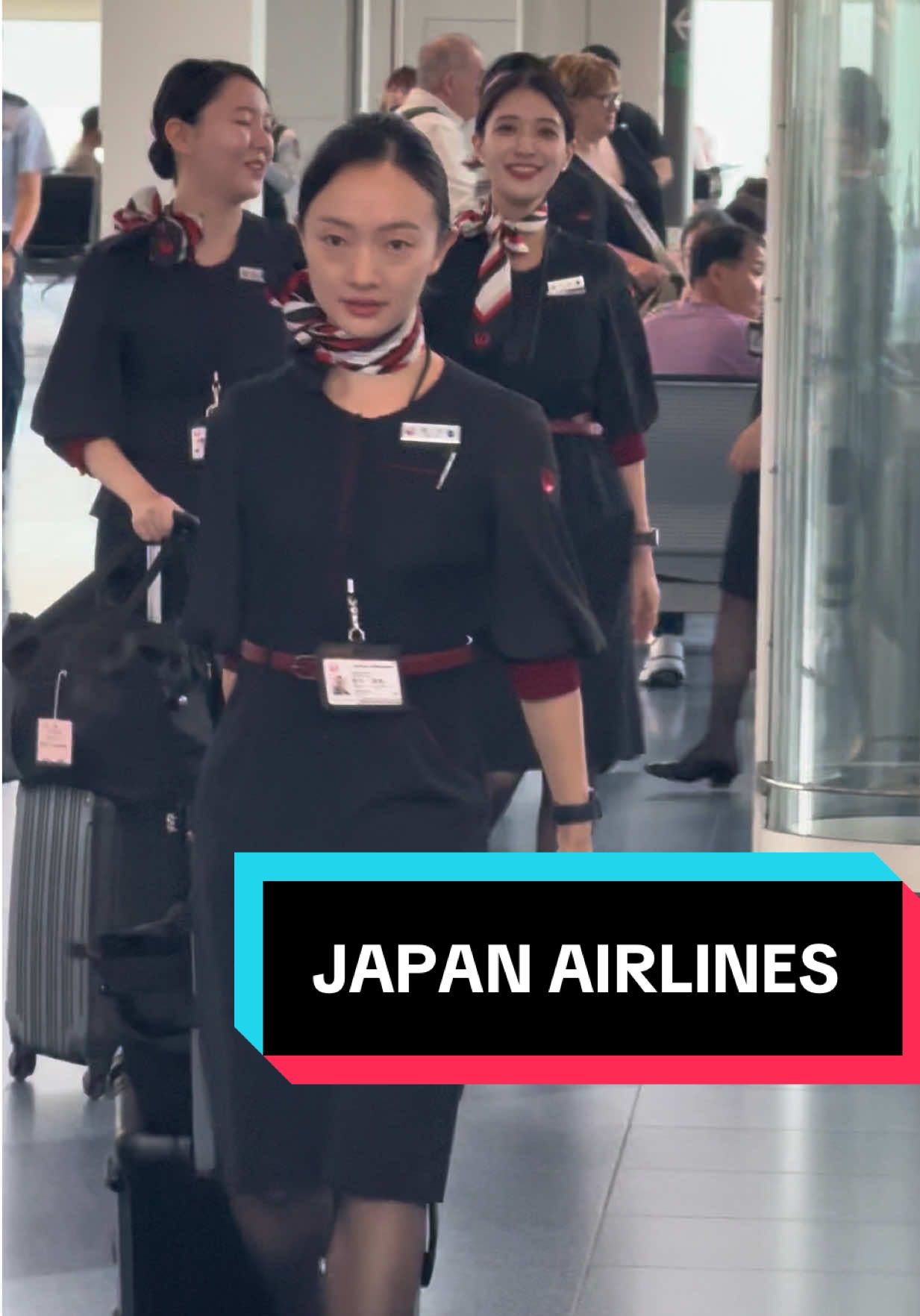 JAPAN AIRLINES Cabin Crew #travel #cabincrew #youtube #vlogger #日本航空
