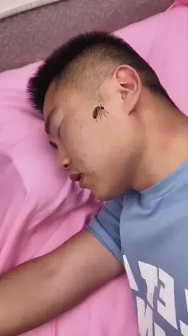 Diga adeus aos mosquitos! 🦟✨ Mosquiteiro elétrico USB silencioso, sem cheiro, decoração moderna e super eficaz. Proteja seu sono e da sua família hoje mesmo! #Mosquito #CasaSemMosquito #SonoTranquilo #MosquiteiroEletrico #TikTokMadeMeBuyIt