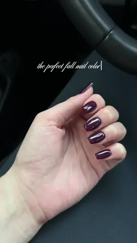 The perfect color ✨ #fypシ #nailinspo #nailtok #nailinspiration #fallnails #fallnailinspo #naildaywithme #pinterestnails 