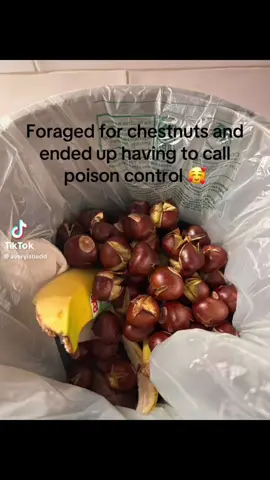 #stitch w/ @Avery YALLLLL 🌰