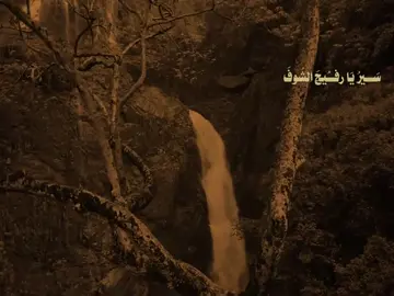 #الرادود_علي_الوائلي #سير_يارفيج_الشوف_مكانك_بين_هاي_وهاي 🧡🧡(ابداع)