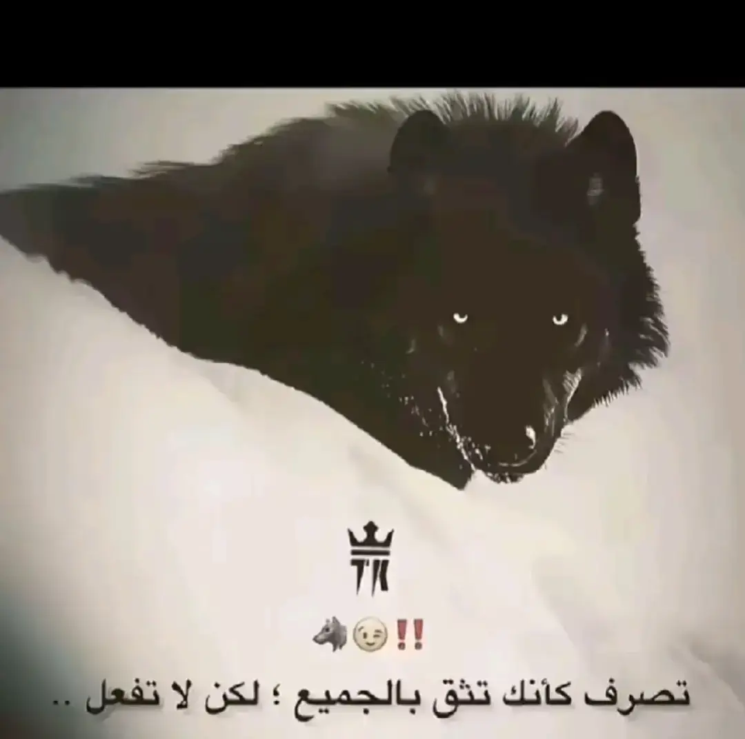 #🥷🏻💸💵 #ديشامصر #🫵🏻😒