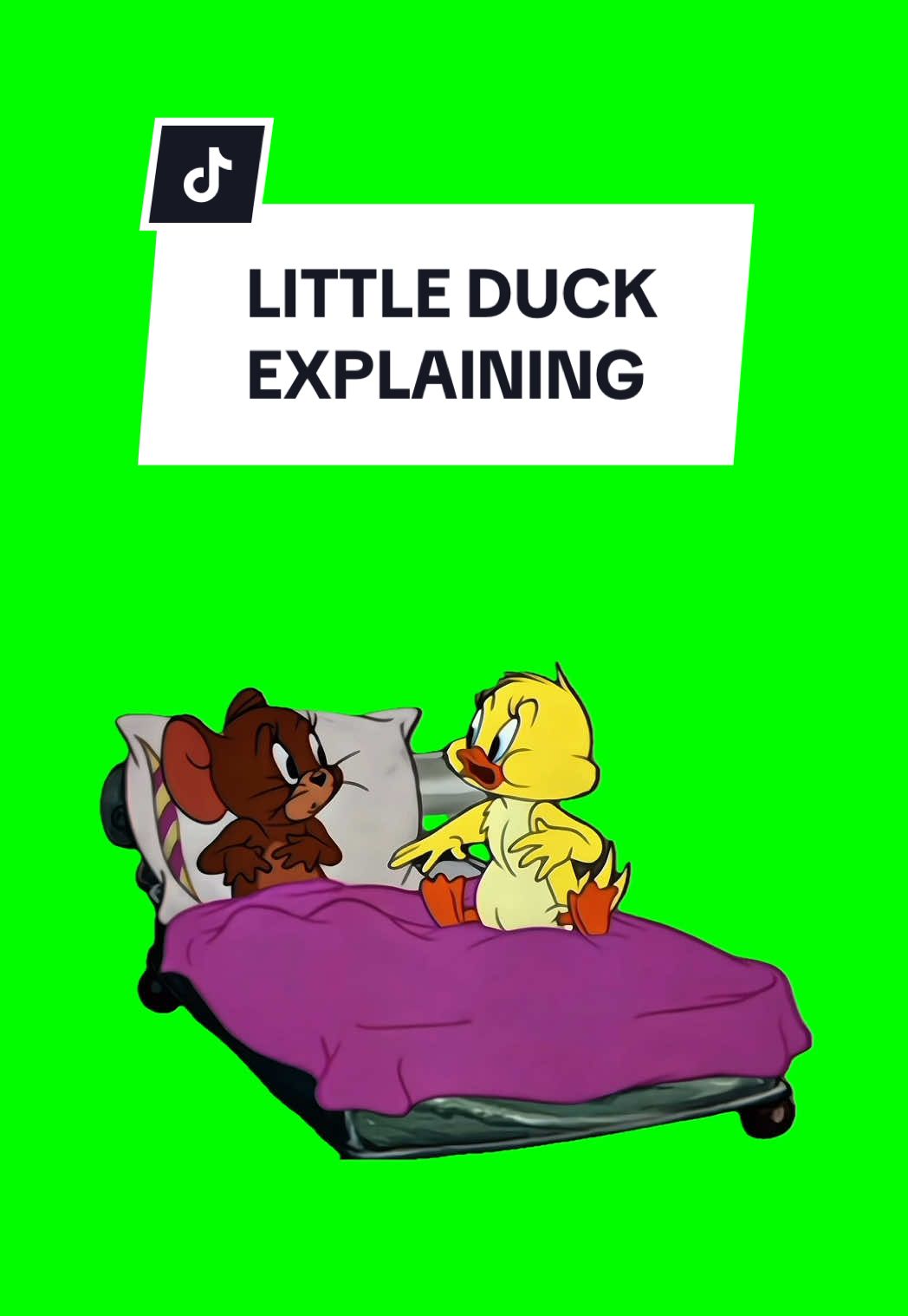 DUCK EXPLAINNING #meme #greenscreen #fyp #tomandjerry #trending 