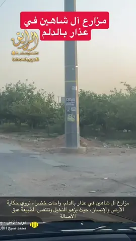 #الشاهين#الدلم_الهياثم_الصحناء_الهياثم_نعجان #العذار #الخرج 