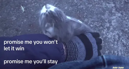 promise? #stray #nostalgia #robinseplut #godsquietchild 