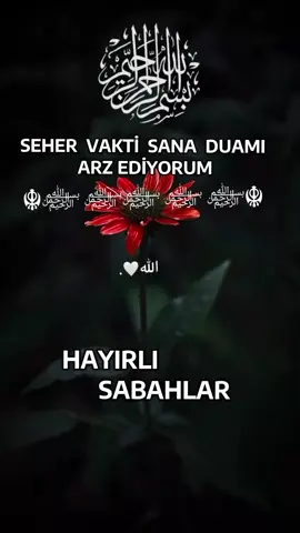 #NE MUHTEŞEM BİR DUASIN  #HAYIRLI #SABAHLAR #HAYIRLI PAZARLAR  #keşfetteeyizz 