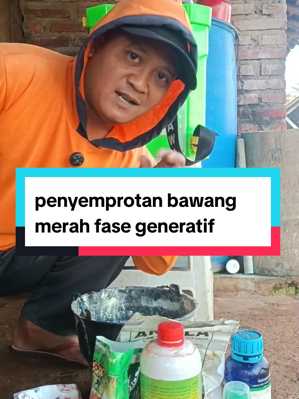 Penyemprotan bawang merah fase generatif #petanibawangmerah #petanicabai #petanimelon #bawangmerah #petaniindonesia🇮🇩🇮🇩🇮🇩🌿🌿 
