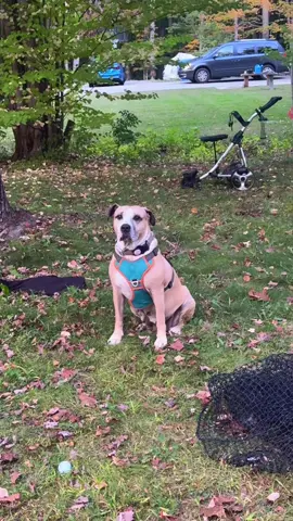 I have a vision with ambition no way I will not succeed. 