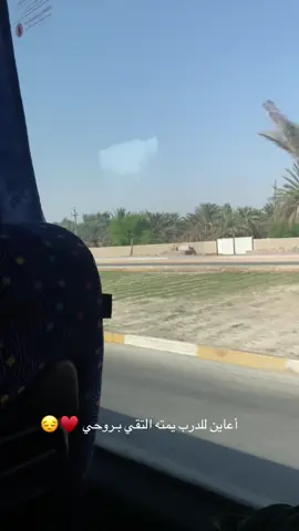 الدرب بين مدخل كربلاء و ضريح الامام الحُسين(ع) شعورك مختلف جداً 🥹😔🩵