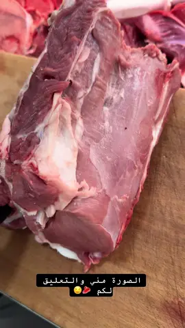 #شعب_الصيني_ماله_حل😂😂 #المغرب🇲🇦تونس🇹🇳الجزائر🇩🇿 #فرنسا🇨🇵_بلجيكا🇧🇪_المانيا🇩🇪_اسبانيا🇪🇸 #وتستمر_الحياة #اكسبلور 