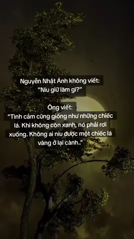 Không ai níu được một chiếc lá vàng ở lại cành..”