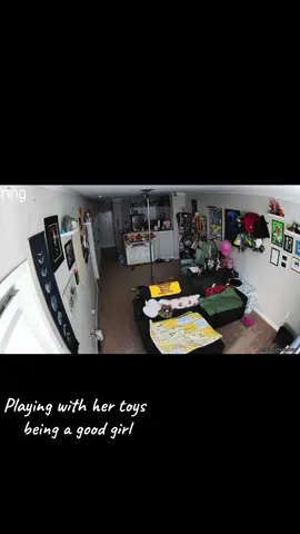 Day in the life of a house pet #fyp #baddog #military #navy #corpsman (this not official military actions or video) 