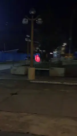 #CapCut 