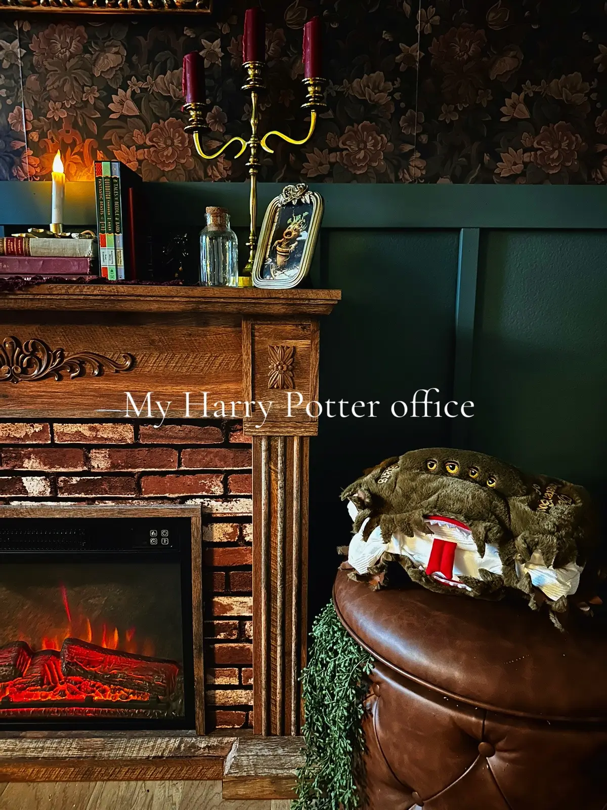Cozy up with a book 📖 and a warm cup of tea 🫖 #harrypotteroffice 
