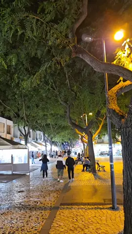 #portugalviral #algarve #portugal #algarveportugal #albufeira🇵🇹 