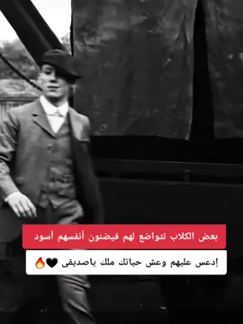 توماس شـــــــيـــــــّلَبّـــــــى 🖤🔥 #توماس_شيلبي #اكسبلور #foryoupage #fyp #capcut 