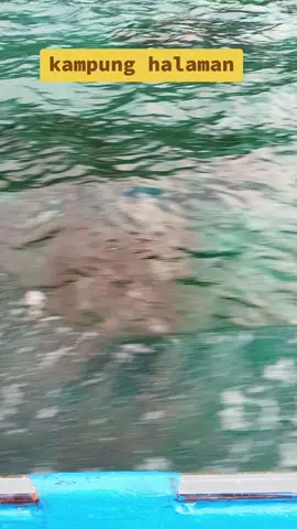 #fypppppppp  #seram #pulaukelang 🌴🌴 