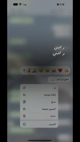 #CapCut  استودعتك الله يقر عيني بشوفتك 😔♥️♥️♥️♥️ #اكسبلور 