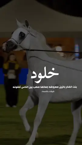 شيلة باسم خلود 2025شيله مدح خلود #شيلات_مدح_شيلات_تباريك_شيلات_زواج #السعودية_الكويت_الإمارات_قطر #شيلات_روعه_خواطر_ذوق #pppppppppppppppppppppp 