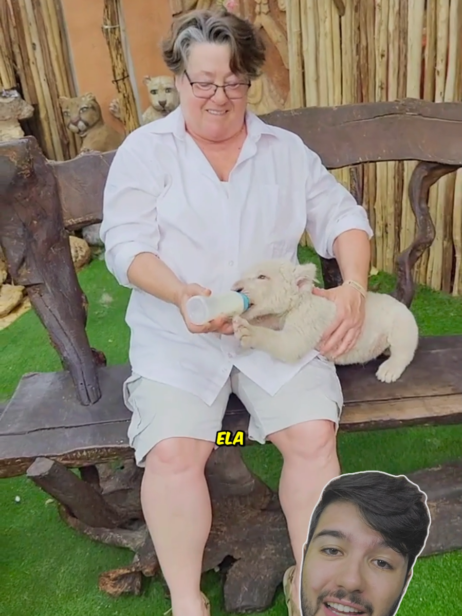 Confundiu o LEÃO com um CACHORRINHO! 😱