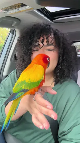 Running a quick errand but Ofc MANGO came with 😭❤️ #mangosworld #dance #pet #fyp #afrobeats 