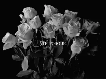 🥺 #lyricsvideo #music #mpb