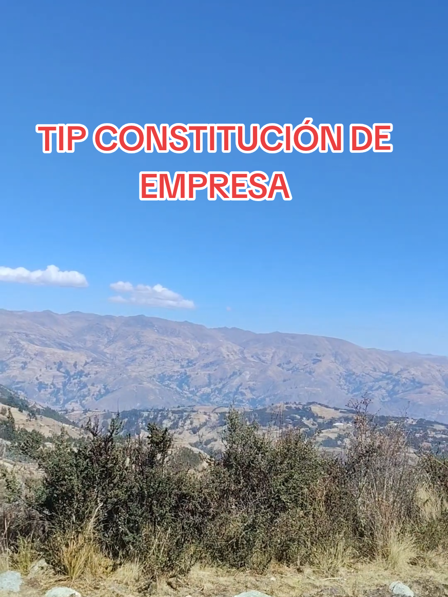 TIP Constitución de empresa #sac #Constitucióndeempresa #dueñosdenegocio #socios #contadora ✨