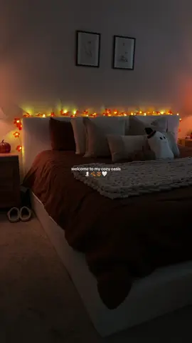 my cozy oasis 🧸🤎  #fallvibes🍂 #cozyhome #cozyathome #aestheticvideos #fyp 