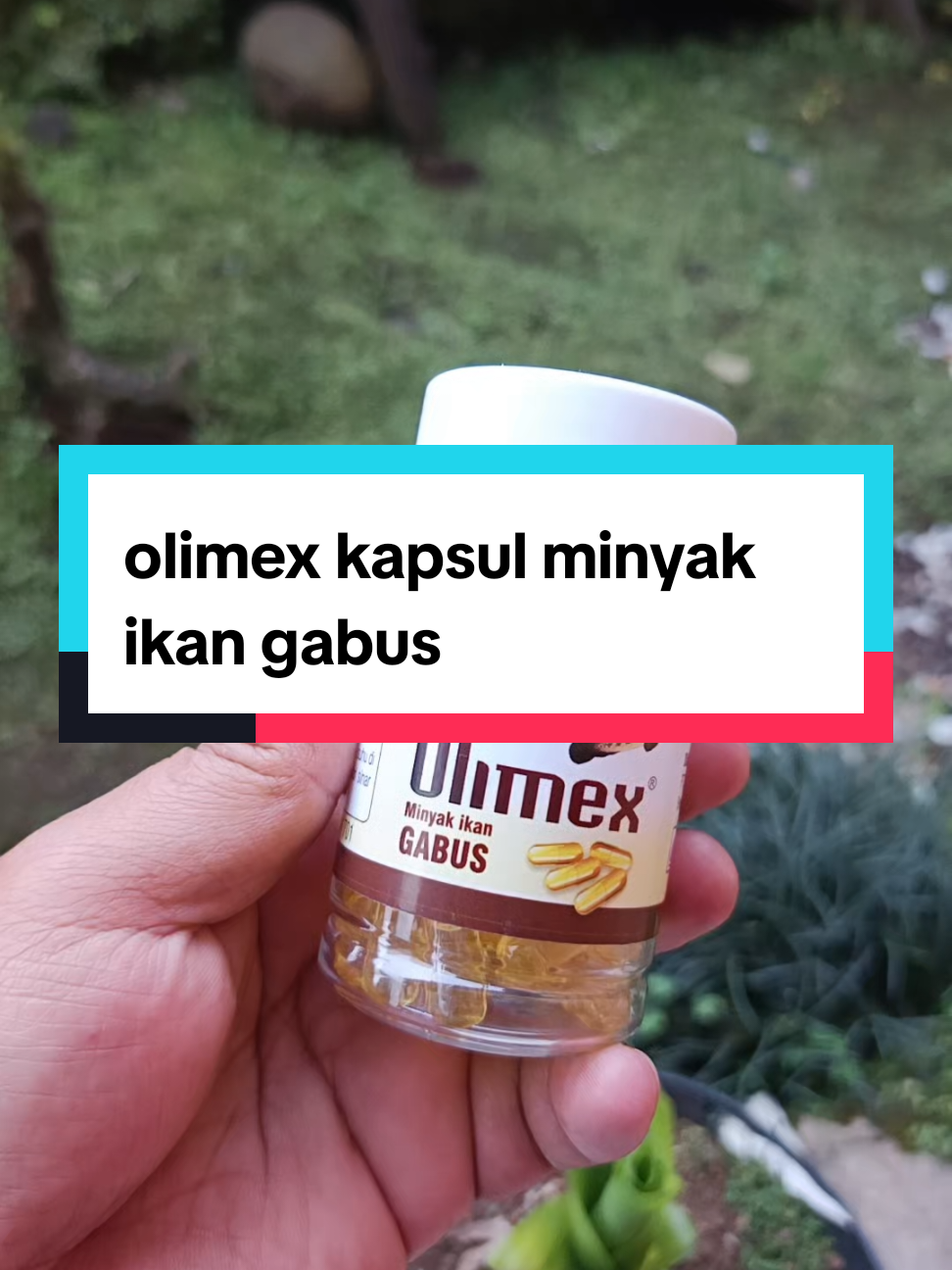 olimex kapsul minyak ikan gabus pengering luka pasca OP atau SC #olimexminyakikangabus #minyakikangabus #pengeringluka 