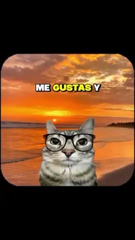 Me gustas 🫀 #poema #poet_psicologia #parejas #amor #dedicar 