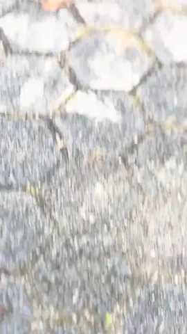 Revo 110#fyp#foryou#hitam 