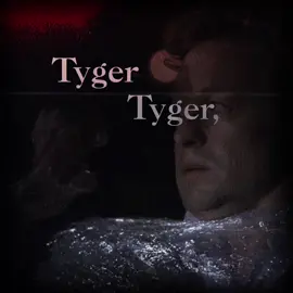 Tyger Tyger, burning bright, In the forests of the night; What immortal hand or eye, Could frame thy fearful symmetry? #thementalist #redjohnedit #redjohn #patrickjane #patrickjaneedit 