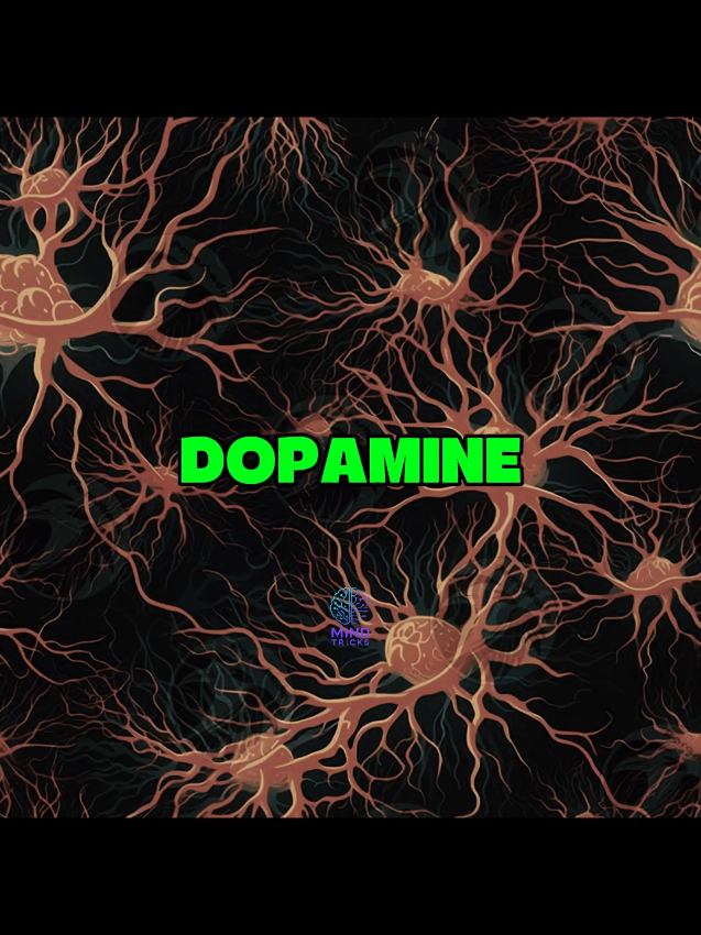 Dopamine #psychologyfacts #Neuroscience #psychology #brainpower #dopamine 