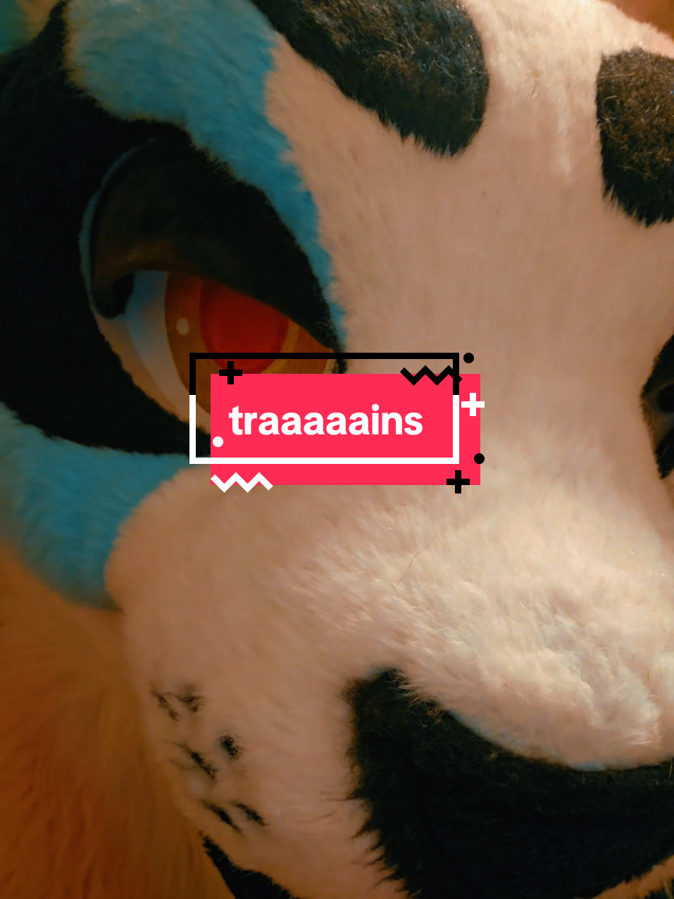 Replying to @pjsndwich TRAIIIIINS #furry #furryfandom #furries #fursuit 