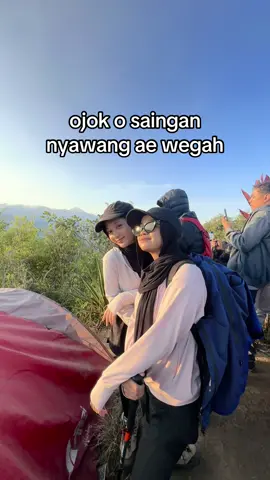 prei rebutan #ngalahngalehngabekti 