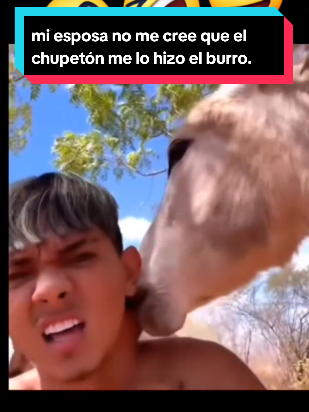 mi esposa no me cree que el chupetón me lo hizo el burro. #vip #flypシ #HumorSinFiltros #RisaGarantizada #MomentoCómico        