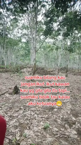 menyapa pagi