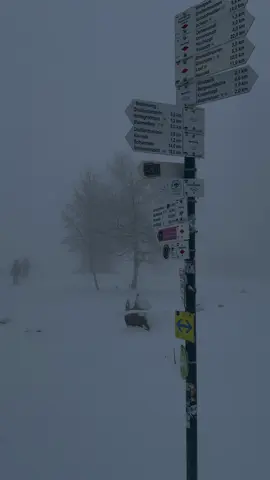 #snow #fog #cold #dark #aestheticvideos 