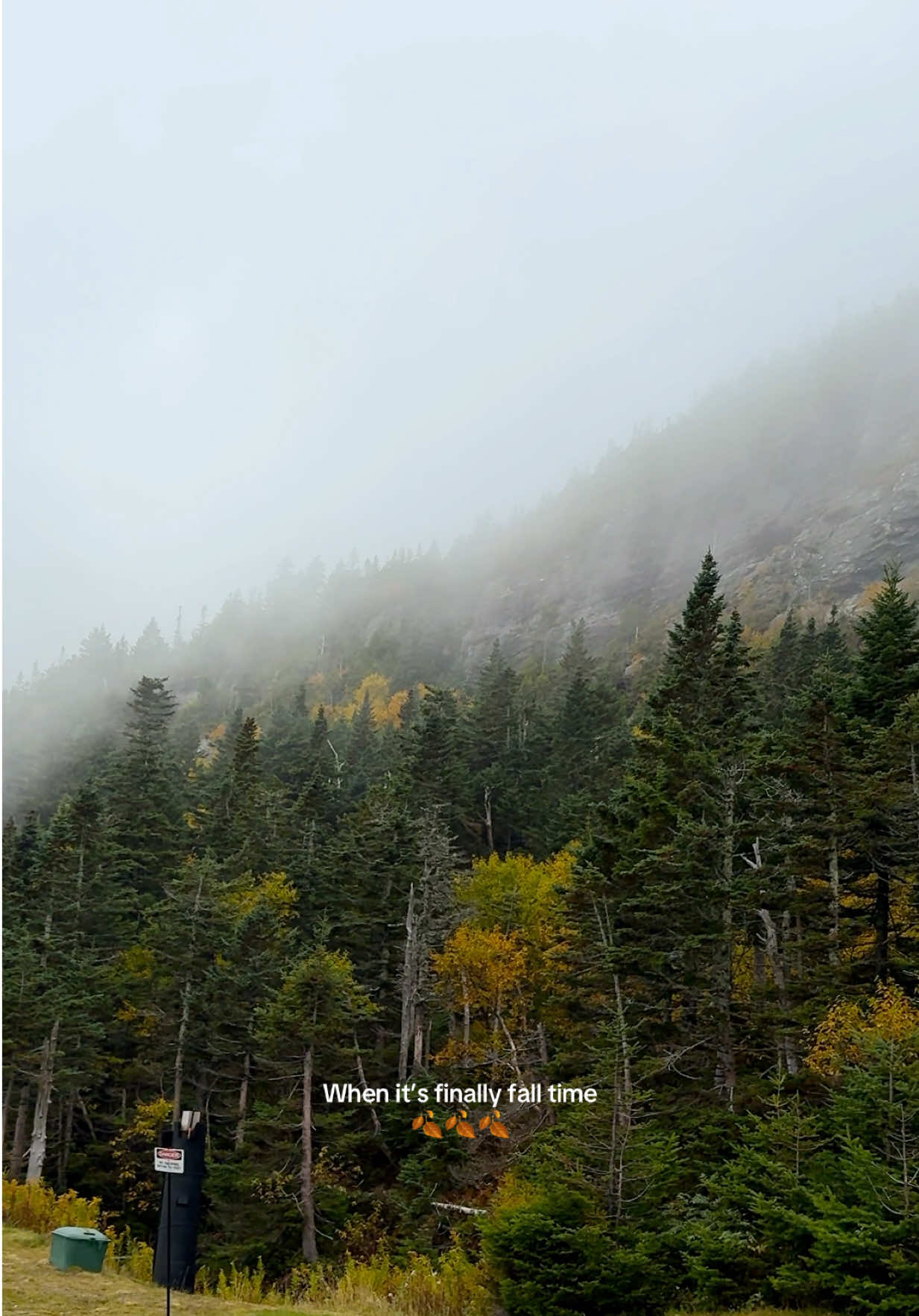 My favorite time of the year 🍂  #vermont #stowe #stowevermont #stowevt #fallaesthetic 