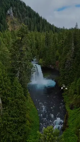 Frsses del dia 🪄🍃🌿 #CapCutMotivacional #Motivacional #reflexaododia #CapCut #paratiiiiiiiiiiiiiiiiiiiiiiiiiiiiiii @#foryou @FRASES Y REFLEXIONES @CapCut 