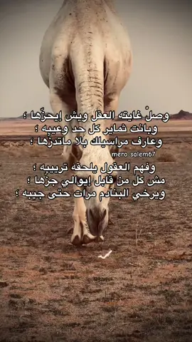 وبانت ثماير كل حد وعيبه💔🔥؛#شتاوي_وغناوي_علم_ع_الفاهق❤🔥 #طبرق_ليبيا🇱🇾✈️ #شعر_ليبي_شتاوي_غناوي #fyp #سبها_ليبيا_الجنوب_الليبي 