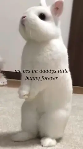 i miss him :c hes eeping #xyzbca #foryoupage #bf #viral #fyp 